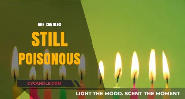Candle Toxins: Are They Still Poisonous?