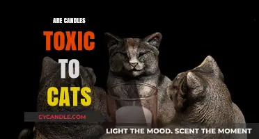 Candle Toxins: Are They Safe to Use Around Cats?