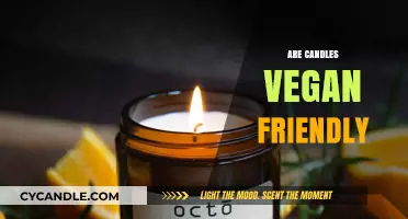 Vegan Candles: Are They Cruelty-Free?