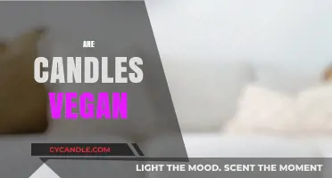Vegan Candles: What's the Buzz?