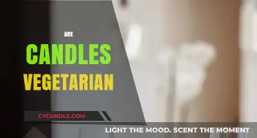 Vegetarian Candles: What's the Wax Made Of?