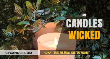 Are Candles Wicked? Unveiling the Truth Behind Candle Ingredients