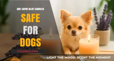 Are Capri Blue Candles Dog-Safe? A Pet Owner's Guide
