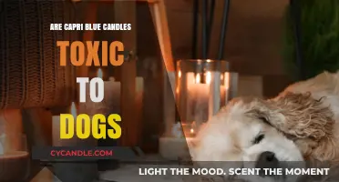 Capri Blue Candles: Are They Safe for Dogs?