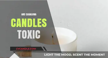 Casaluna Candles: Toxic or Safe?