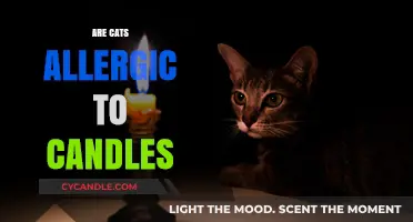 Candles and Cats: A Safe Combination?