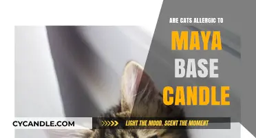 Candle Wicks and Cats: Maya Base Allergies