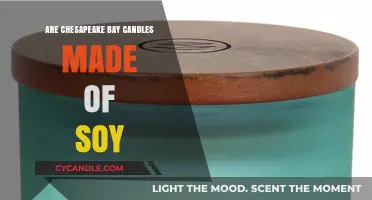 Chesapeake Bay Candles: Soy or Not?