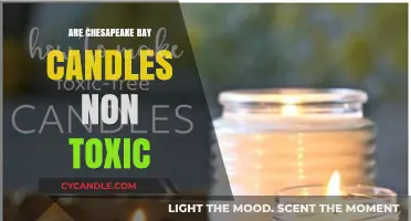 Chesapeake Bay Candles: Are They Non-Toxic?