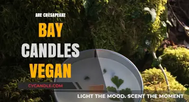 Vegan-Friendly Candles: Chesapeake Bay's Promise
