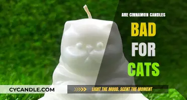 Cinnamon Candles: Safe or Toxic for Cats?