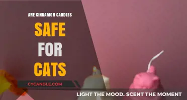 Cinnamon Candles and Cats: Are They a Safe Combination?