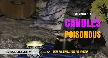 Citronella Candles: Are They Safe or Toxic?