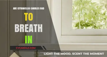 The Truth About Breathing Citronella Candles