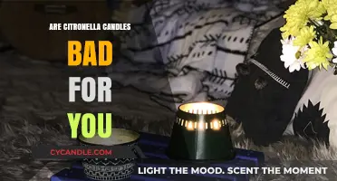 Citronella Candles: Are They Safe or Toxic?