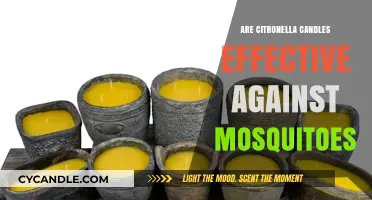 Citronella Candles: Effective Mosquito Repellent or Just a Scented Candle?