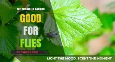 Citronella Candles: Effective Fly Repellent or Myth?