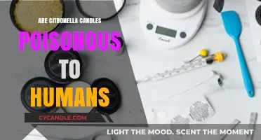 Citronella Candles: Are They Safe or Toxic to Humans?