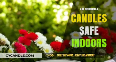 Are Citronella Candles Safe Indoors? Exploring Risks and Alternatives