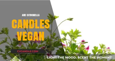 Citronella Candles: Vegan or Not?