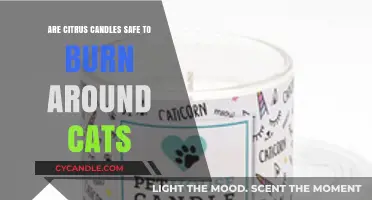 Citrus Candles and Cats: Safe or Harmful for Feline Friends?