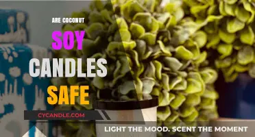 Are Coconut Soy Candles Safe? A Comprehensive Guide to Natural Wax