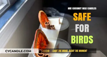 Coconut Wax Candles: Safe for Birds or Potential Hazard?