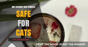 Coconut Wax Candles and Cats: Are They a Safe Combo?