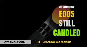 How Commercial Eggs Are Produced and Candled