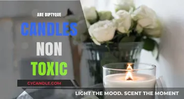 Diptyque Candles: Are They Non-Toxic?