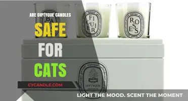Are Diptyque Candles Cat-Safe? A Pet Owner's Guide
