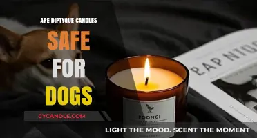 Are Diptyque Candles Dog-Safe? A Pet Owner's Guide