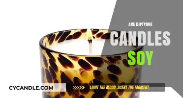 Diptyque Candles: Soy or Paraffin?