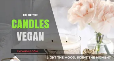 Diptyque Candles: Vegan or Not?