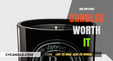 Diptyque Candles: Are They Worth the Hype and High Price?