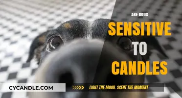 Candles and Dogs: A Sensitive Sniffer's Guide