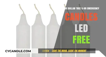 Emergency Candles: Are Dollar Tree 5-Hour Candles LED-Free?