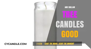 Dollar Tree Candles: Are They Worth the Hype?