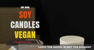 Soy Candles: Are Dusk's Vegan-Friendly?