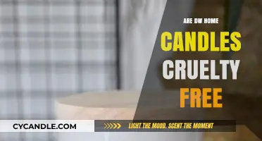 DW Home Candles: Are They Cruelty-Free?