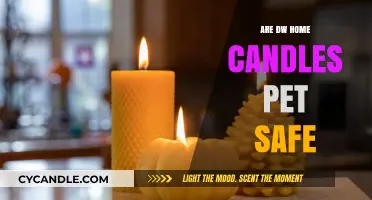 Are DW Home Candles Pet Safe? A Comprehensive Guide