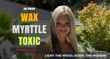 Exploring the Toxicity of Dwarf Wax Myrtle: A Comprehensive Guide