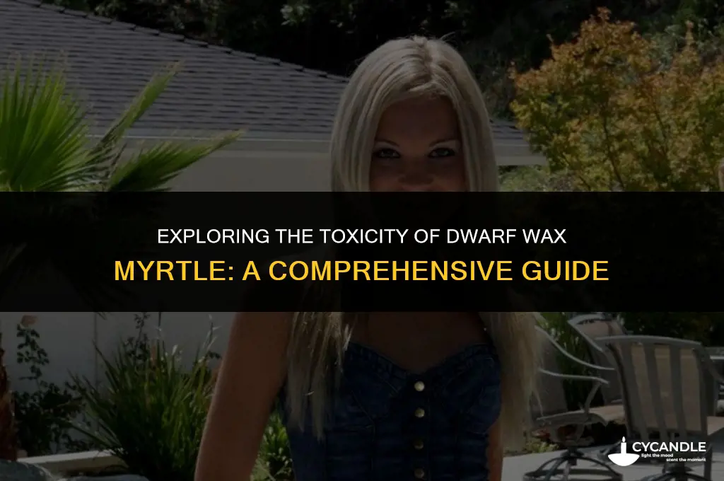 are dwarf wax myrttle toxic