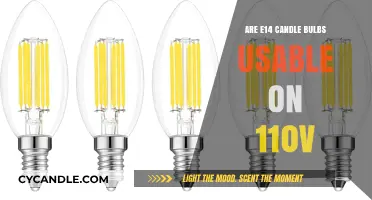 E14 Bulbs: Compatible with 110V?