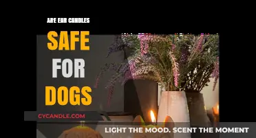 Are Ear Candles Safe for Dogs? A Vet's Perspective