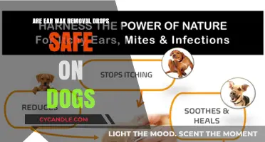 Are Ear Wax Removal Drops Safe for Your Dog?