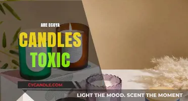 Ecoya Candles: Are They Toxic or Safe?