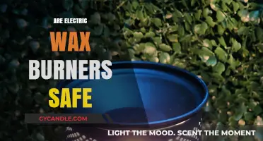 Unveiling the Truth: Are Electric Wax Burners Safe for Your Home?