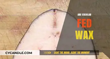 Exploring the Myth: Are Escolar Fish Fed Wax?