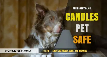 Pet-Safe Aromatherapy: Are Essential Oil Candles Safe for Pets?